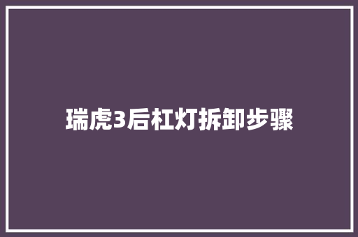 瑞虎3后杠灯拆卸步骤