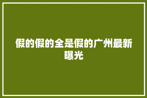 假的假的全是假的广州最新曝光