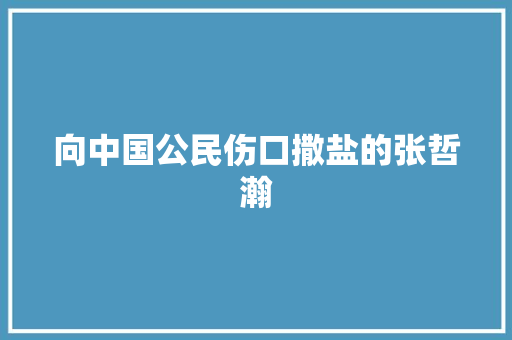 向中国公民伤口撒盐的张哲瀚
