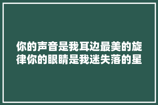 你的声音是我耳边最美的旋律你的眼睛是我迷失落的星辰大年夜海