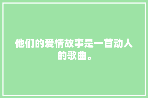他们的爱情故事是一首动人的歌曲。