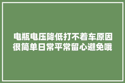 电瓶电压降低打不着车原因很简单日常平常留心避免哦