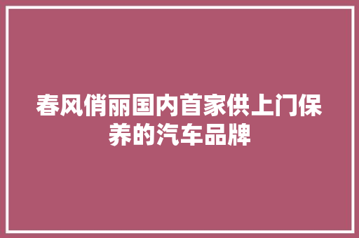 春风俏丽国内首家供上门保养的汽车品牌