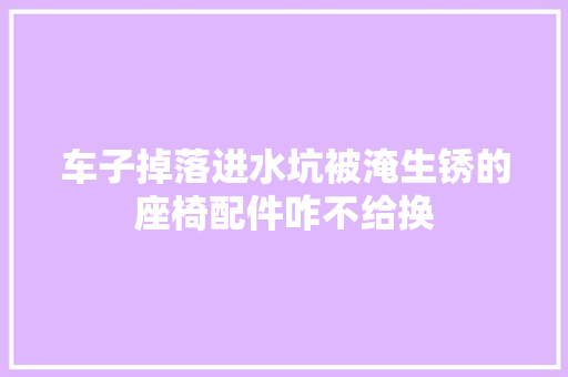 车子掉落进水坑被淹生锈的座椅配件咋不给换