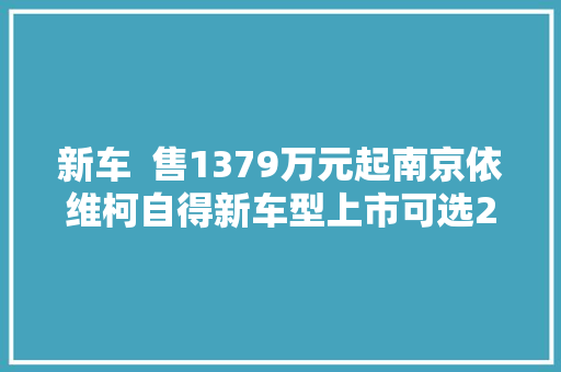新车  售1379万元起南京依维柯自得新车型上市可选25T柴油机