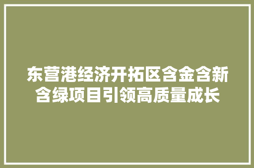 东营港经济开拓区含金含新含绿项目引领高质量成长