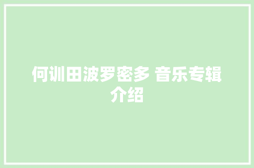 何训田波罗密多 音乐专辑介绍