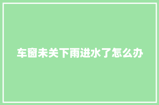 车窗未关下雨进水了怎么办 汽车知识
