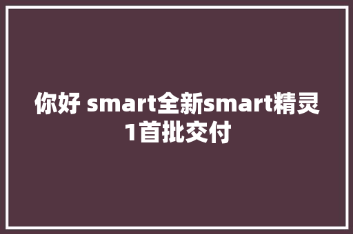 你好 smart全新smart精灵1首批交付