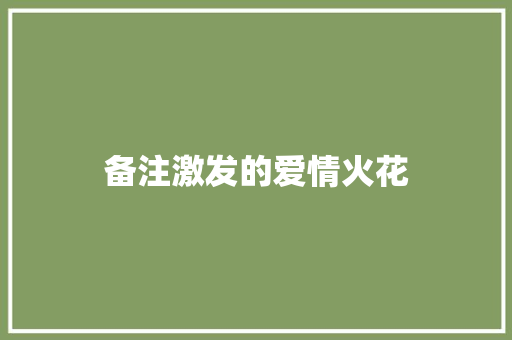 备注激发的爱情火花