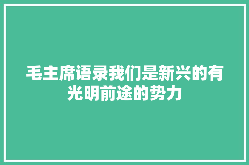 毛主席语录我们是新兴的有光明前途的势力