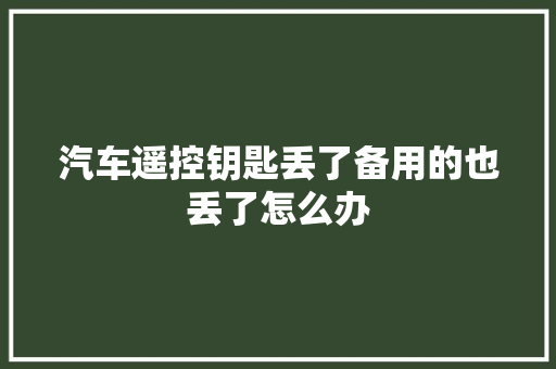 汽车遥控钥匙丢了备用的也丢了怎么办