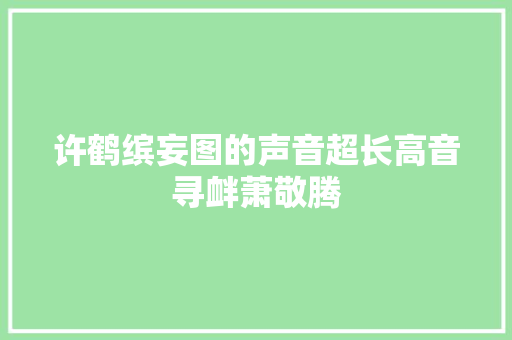许鹤缤妄图的声音超长高音寻衅萧敬腾