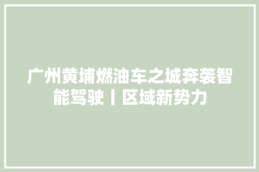 广州黄埔燃油车之城奔袭智能驾驶丨区域新势力