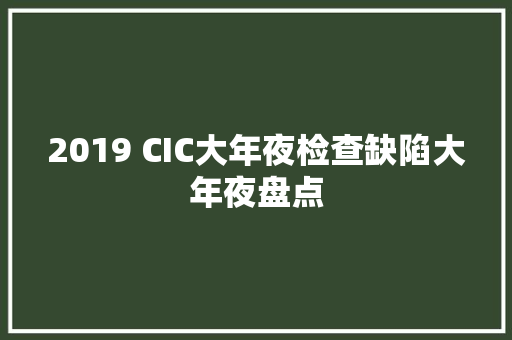 2019 CIC大年夜检查缺陷大年夜盘点