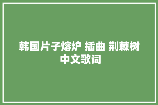 韩国片子熔炉 插曲 荆棘树 中文歌词