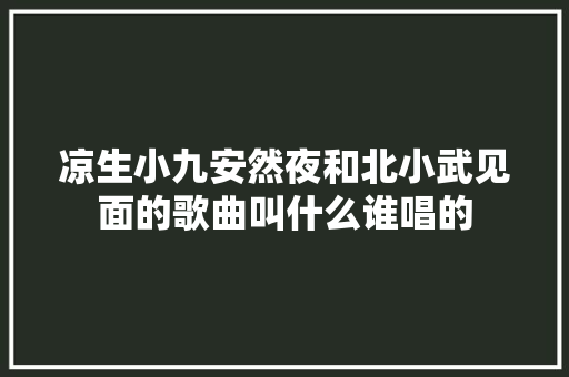 凉生小九安然夜和北小武见面的歌曲叫什么谁唱的