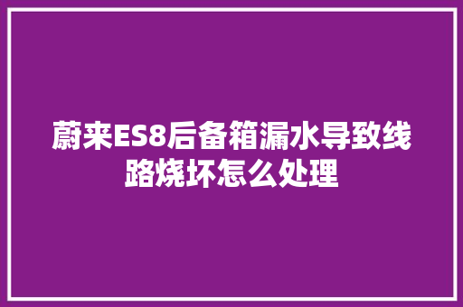 蔚来ES8后备箱漏水导致线路烧坏怎么处理