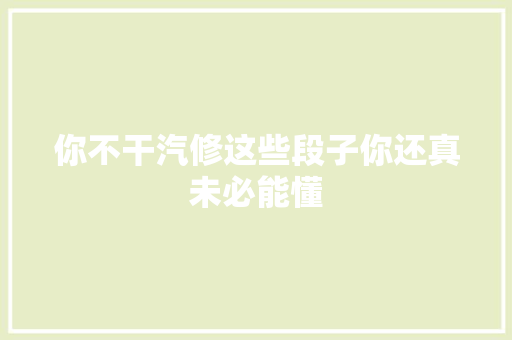你不干汽修这些段子你还真未必能懂