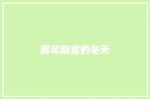 那年飘雪的冬天