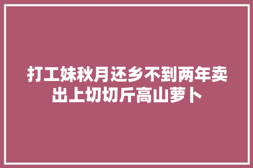 打工妹秋月还乡不到两年卖出上切切斤高山萝卜
