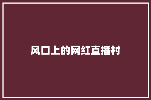 风口上的网红直播村