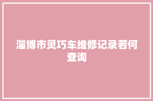 淄博市灵巧车维修记录若何查询