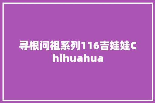 寻根问祖系列116吉娃娃Chihuahua