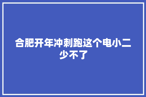 合肥开年冲刺跑这个电小二少不了