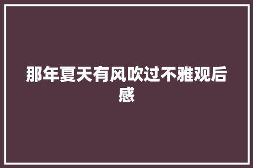 那年夏天有风吹过不雅观后感