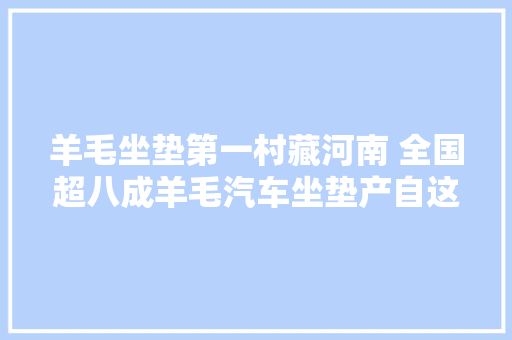 羊毛坐垫第一村藏河南 全国超八成羊毛汽车坐垫产自这里