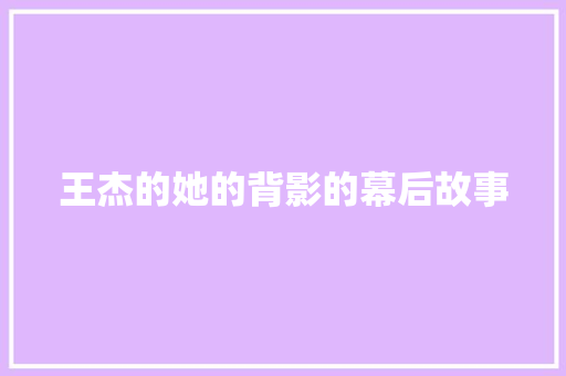 王杰的她的背影的幕后故事
