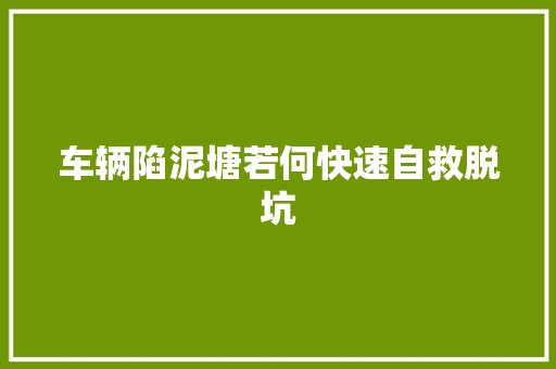 车辆陷泥塘若何快速自救脱坑