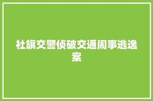 社旗交警侦破交通闹事逃逸案  第1张