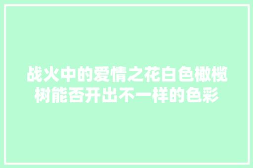 战火中的爱情之花白色橄榄树能否开出不一样的色彩