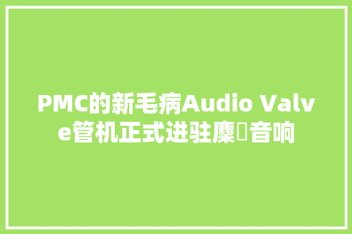 PMC的新毛病Audio Valve管机正式进驻麇囷音响  第1张