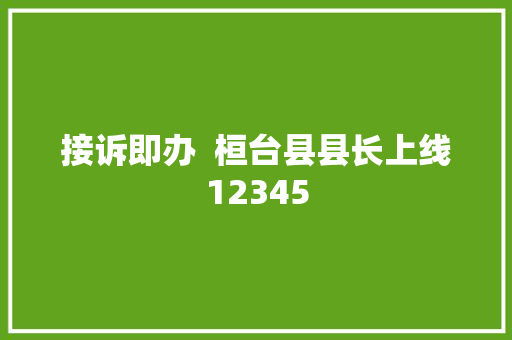 接诉即办  桓台县县长上线12345