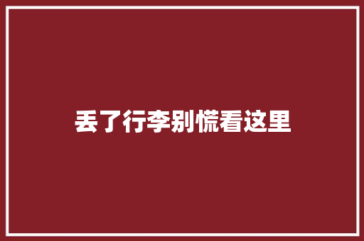 丢了行李别慌看这里
