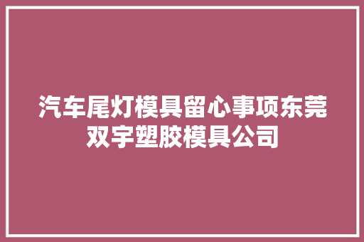 汽车尾灯模具留心事项东莞双宇塑胶模具公司