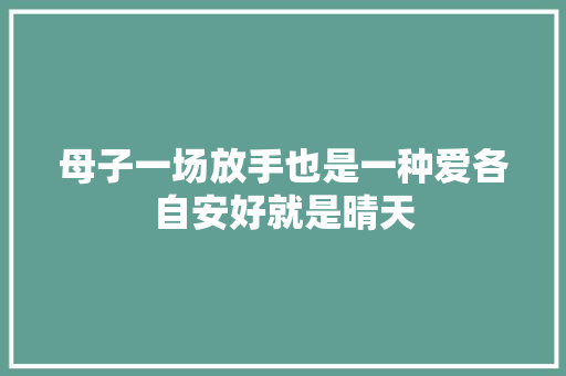 母子一场放手也是一种爱各自安好就是晴天
