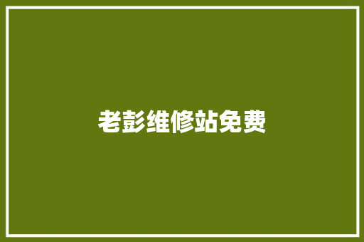 老彭维修站免费
