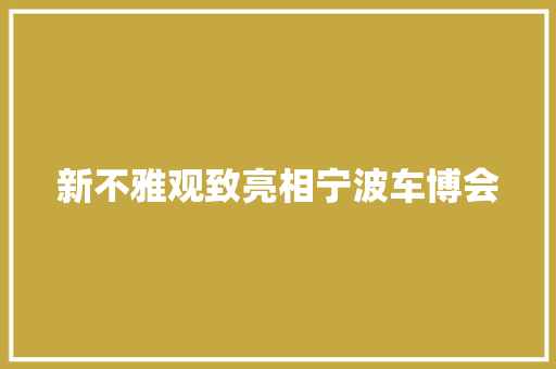 新不雅观致亮相宁波车博会