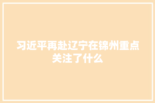 习近平再赴辽宁在锦州重点关注了什么