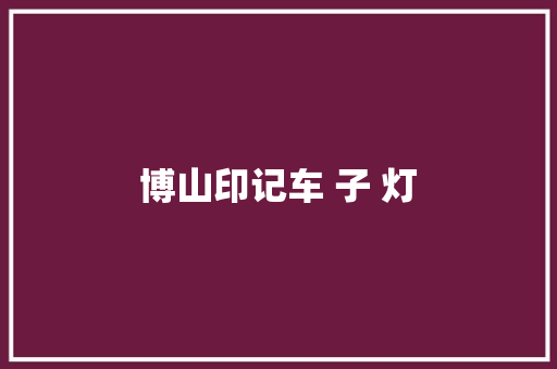 博山印记车 子 灯