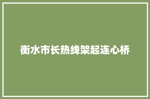 衡水市长热线架起连心桥