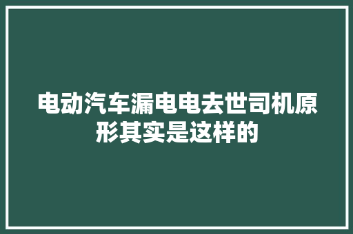 电动汽车漏电电去世司机原形其实是这样的