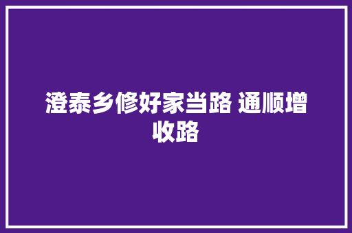 澄泰乡修好家当路 通顺增收路