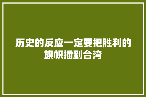 历史的反应一定要把胜利的旗帜插到台湾