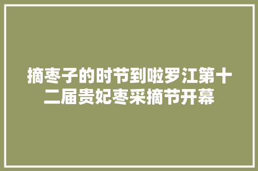 摘枣子的时节到啦罗江第十二届贵妃枣采摘节开幕