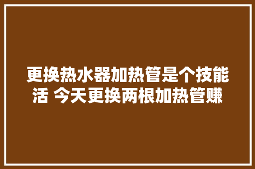 更换热水器加热管是个技能活 今天更换两根加热管赚了100元